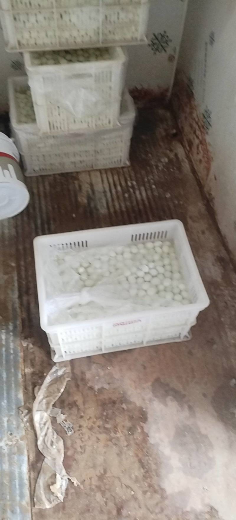 鹌鹑蛋