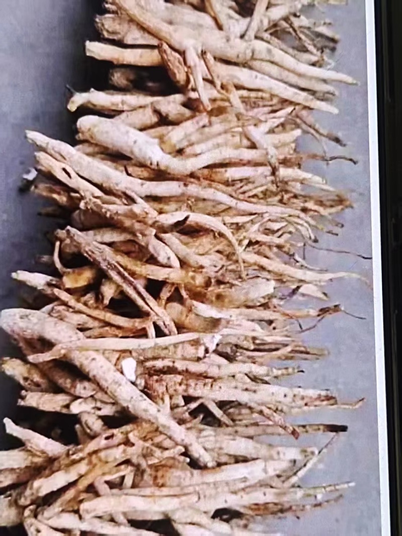 川明参干货大量有货产地直发可视频看货详情电联