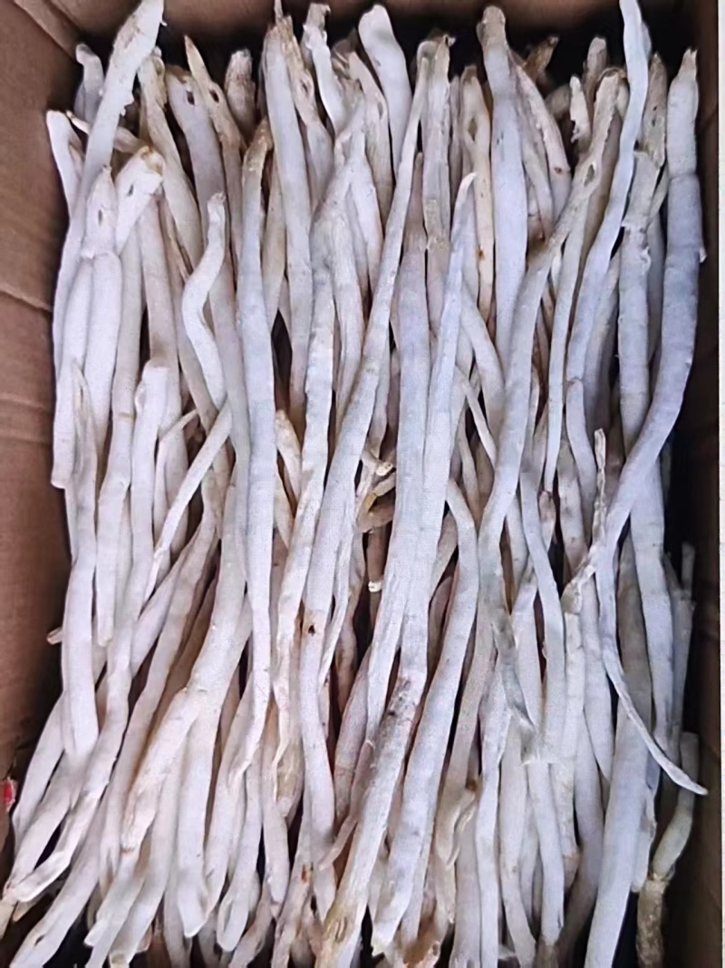 川明参干货大量有货产地直发可视频看货详情电联