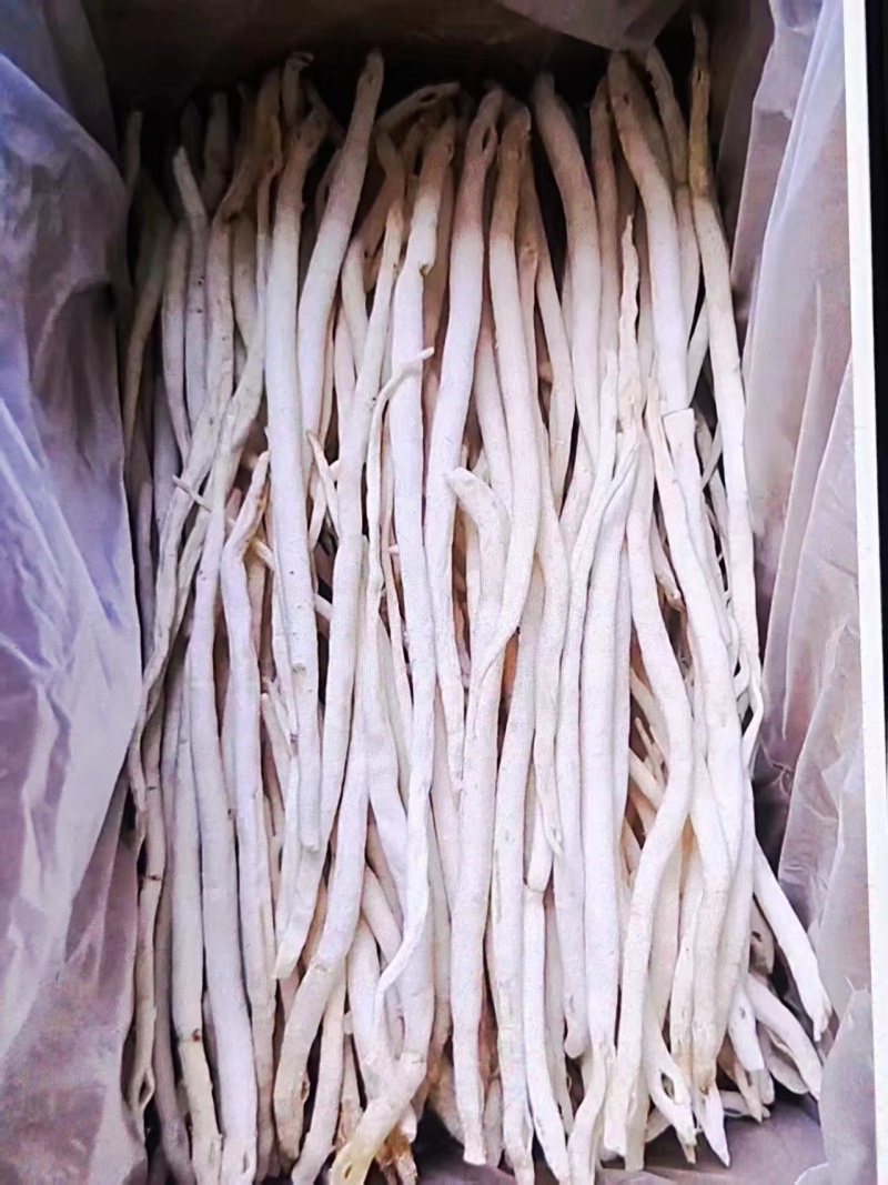 川明参干货大量有货产地直发可视频看货详情电联