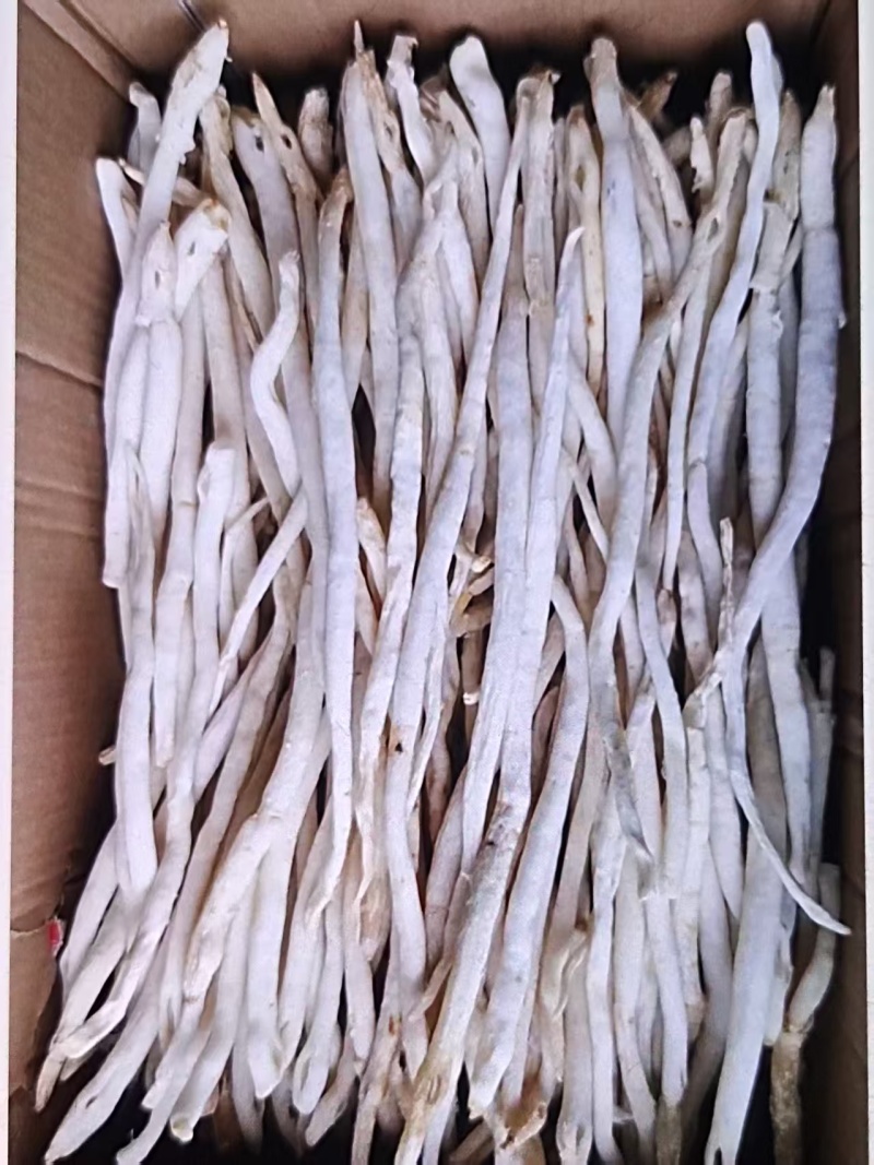川明参干货大量有货产地直发可视频看货详情电联