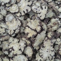 川芎正品无硫川芎片各种规格批发量大从优加工厂直销