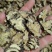川芎正品无硫川芎片各种规格批发量大从优加工厂直销