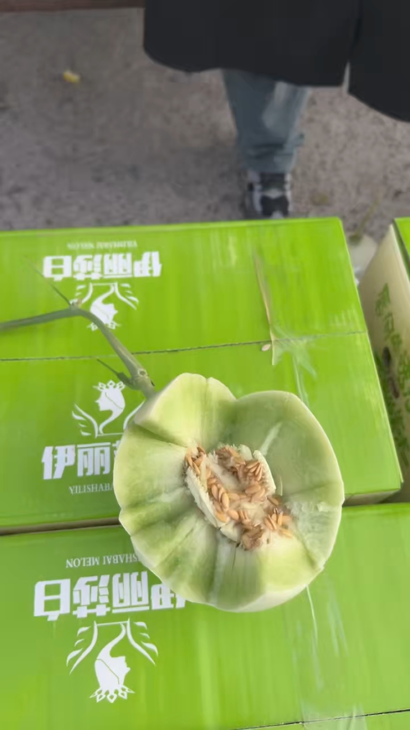 山东玉姑甜瓜冰淇淋玉菇中国香瓜燕店镇欢迎电联价优