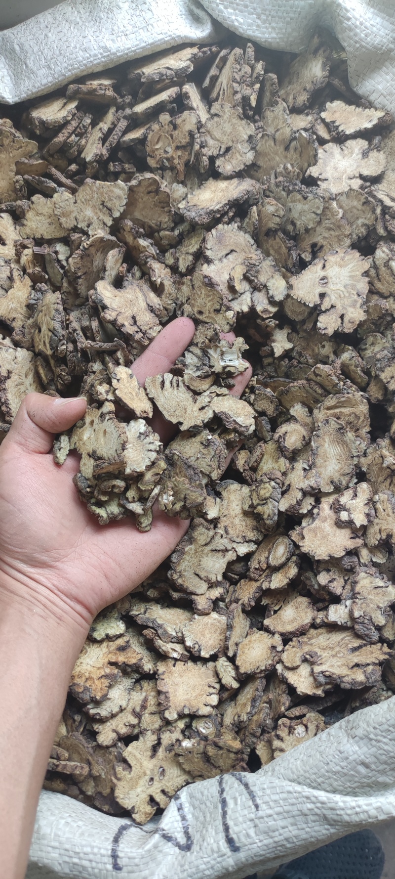 川芎正品无硫川芎片各种规格批发量大从优加工厂直销