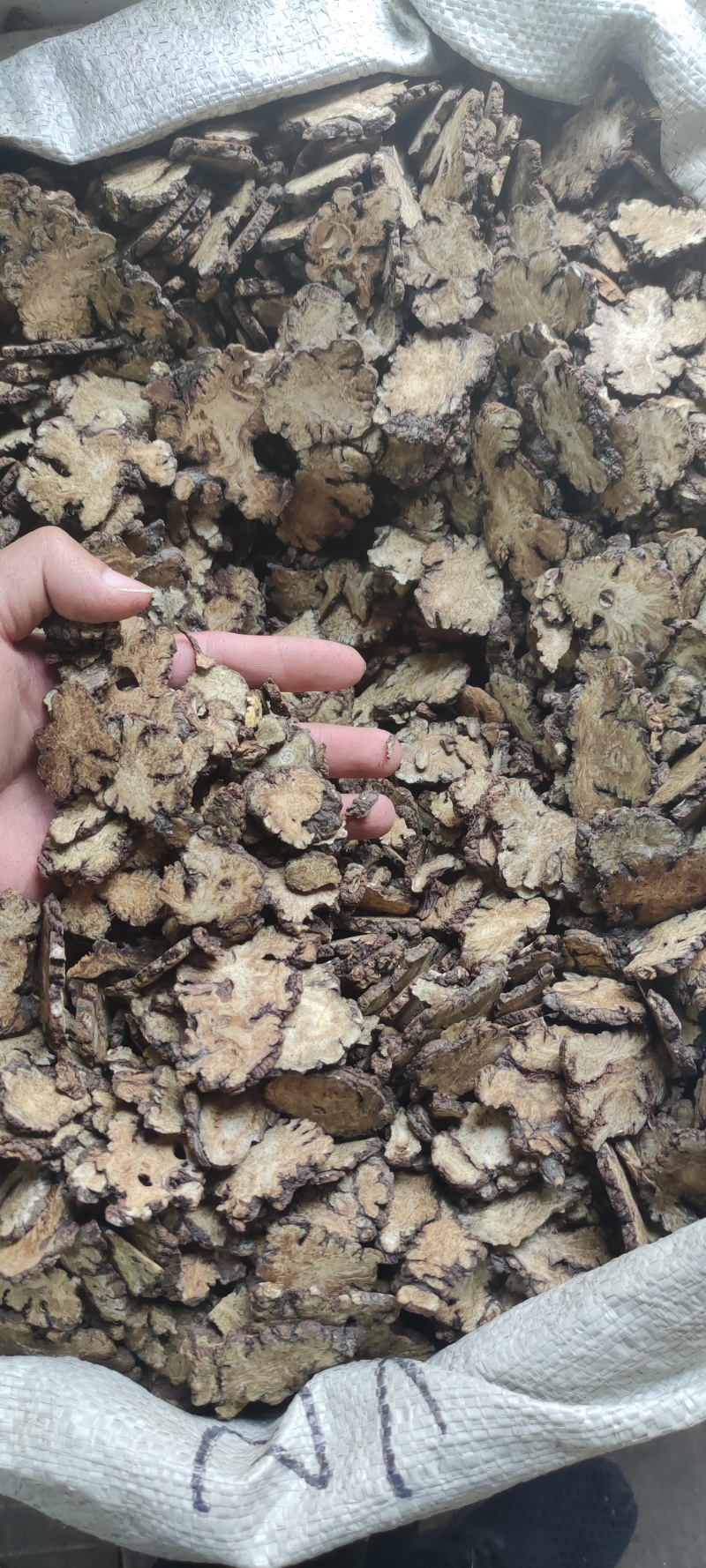 川芎正品无硫川芎片各种规格批发量大从优加工厂直销