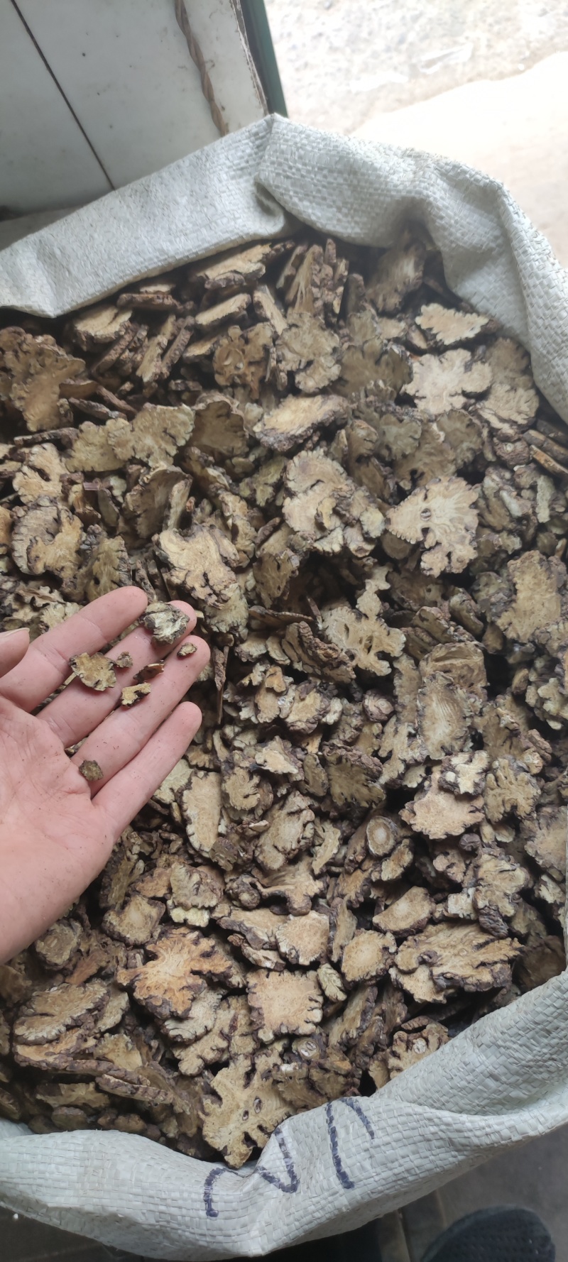 川芎正品无硫川芎片各种规格批发量大从优加工厂直销