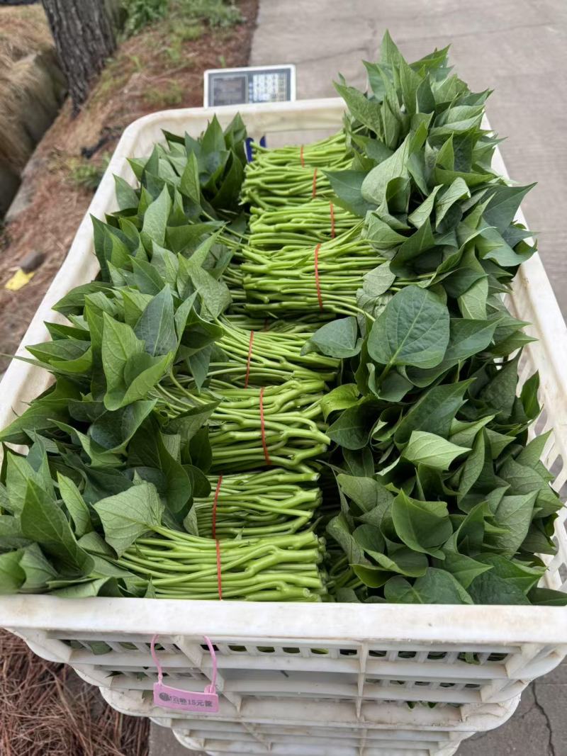 和远蔬菜