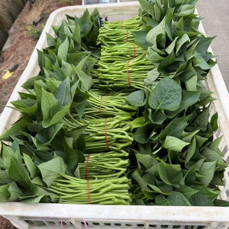 和远蔬菜