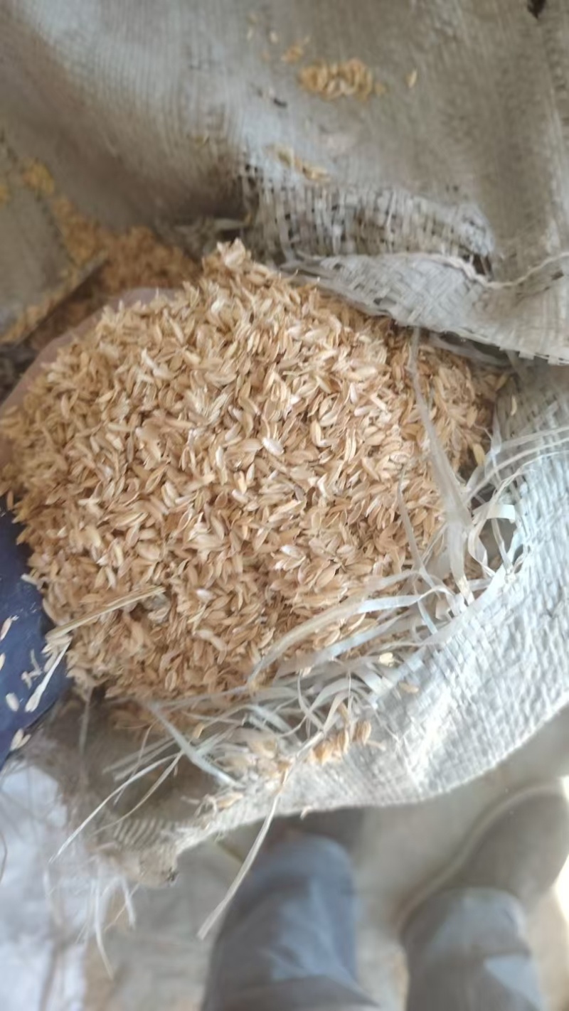 袋装稻壳压缩稻壳产地直供量大从优可详谈