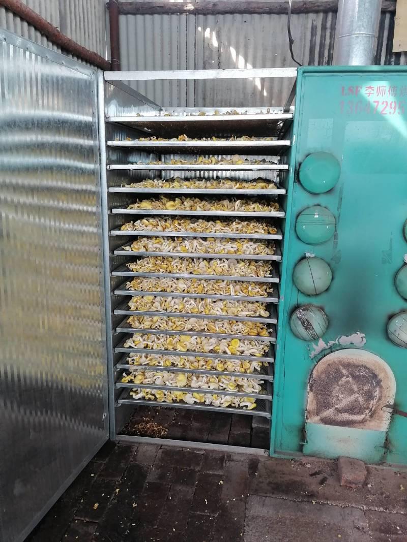 鸡油菌精品小包