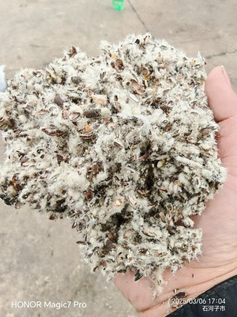 新疆棉籽壳河北棉籽壳山东棉籽壳磨盘棉籽壳厂家直销产品