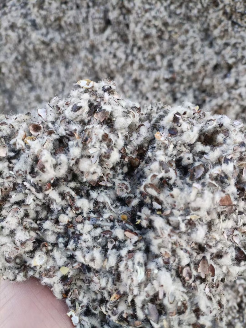 新疆棉籽壳，进口棉籽壳，河北棉籽壳，山东棉籽壳，磨盘棉壳