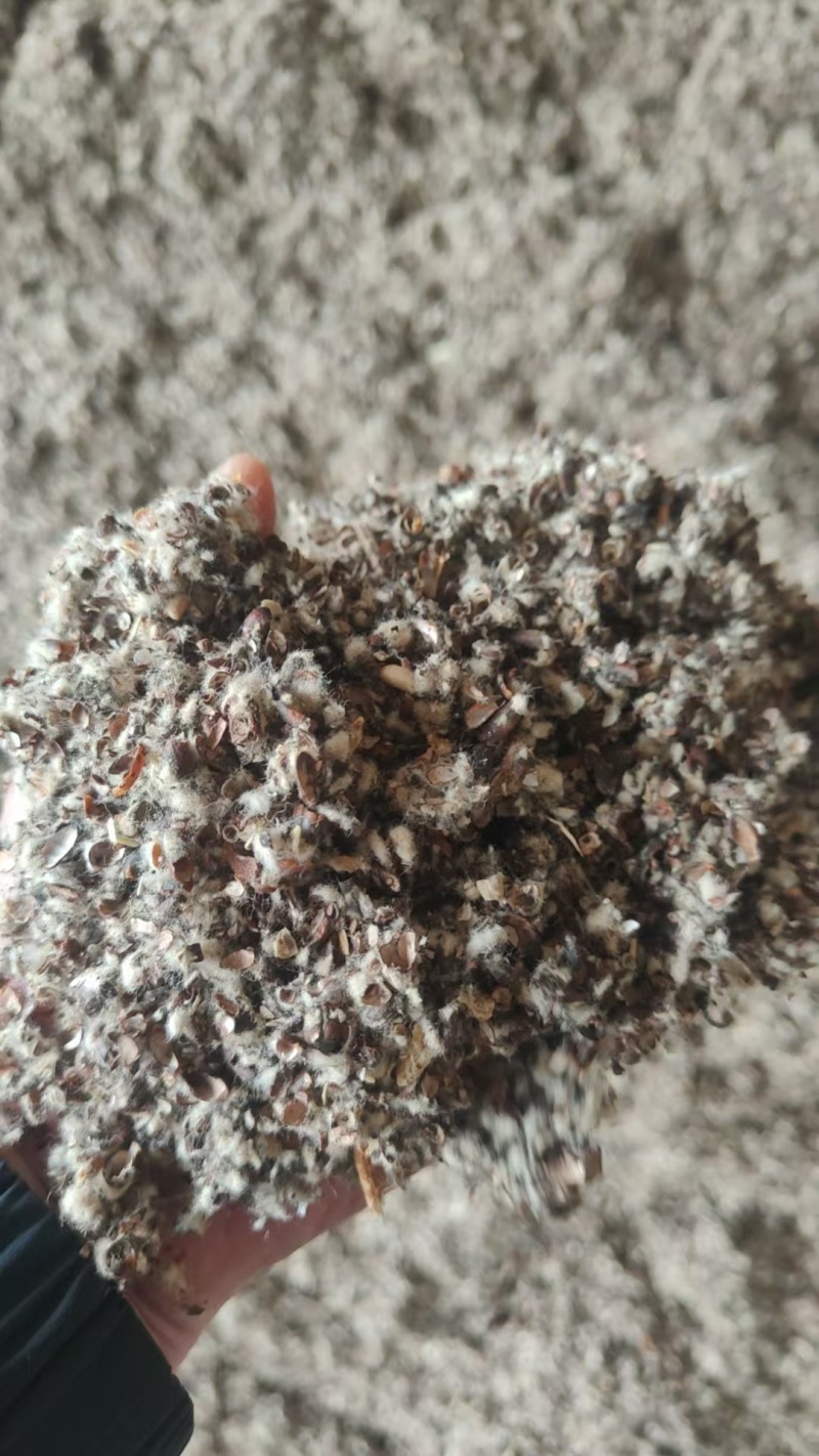 新疆棉籽壳，进口棉籽壳，河北棉籽壳，山东棉籽壳，磨盘棉壳