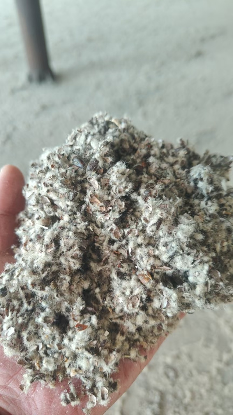 新疆棉籽壳，进口棉籽壳，河北棉籽壳，山东棉籽壳，磨盘棉壳
