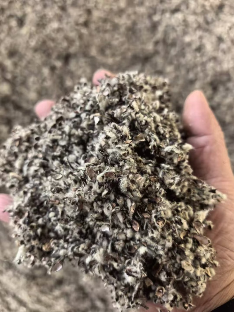 新疆棉籽壳，进口棉籽壳，河北棉籽壳，山东棉籽壳，磨盘棉壳