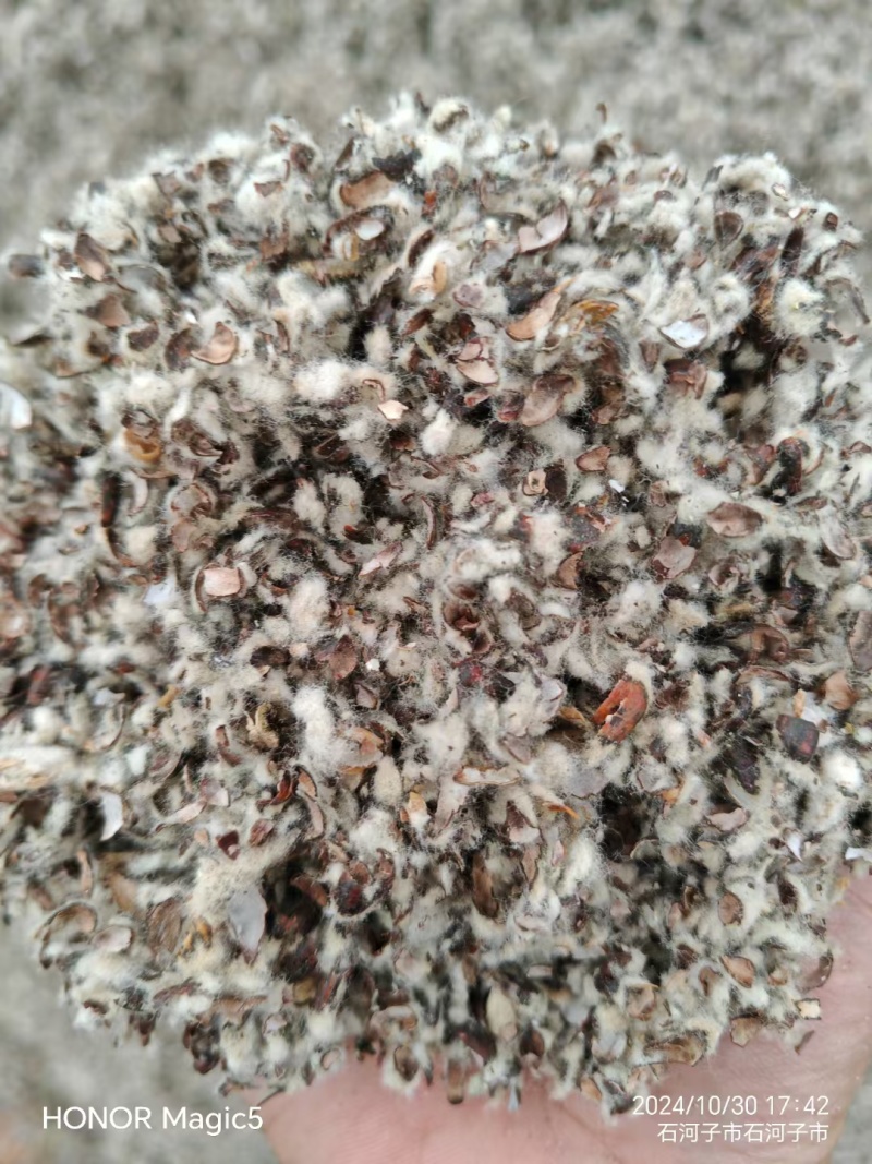 新疆棉籽壳，进口棉籽壳，河北棉籽壳，山东棉籽壳，磨盘棉壳