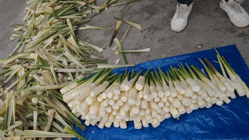 茭白电商货