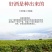 源头直供法国原瓶进口14.5度35年老藤干红葡萄酒，一手