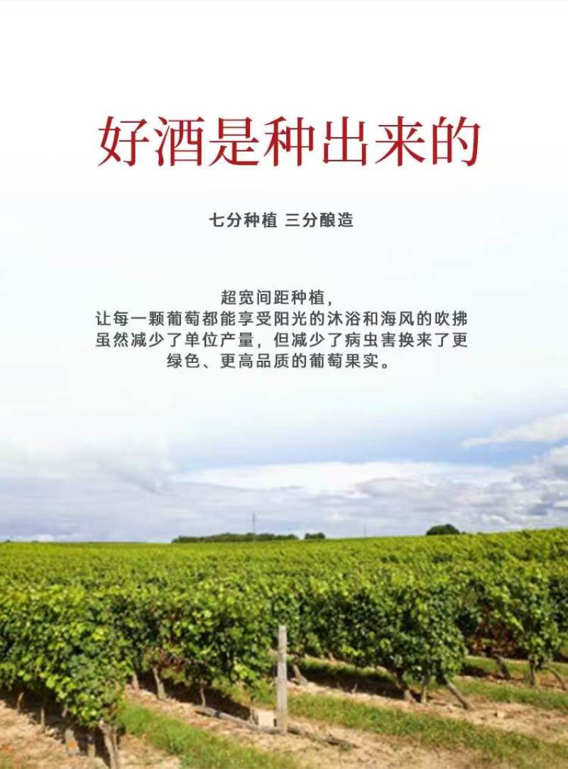 源头直供法国原瓶进口14.5度35年老藤干红葡萄酒，一手