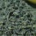 海拔800米以上的高山绿茶