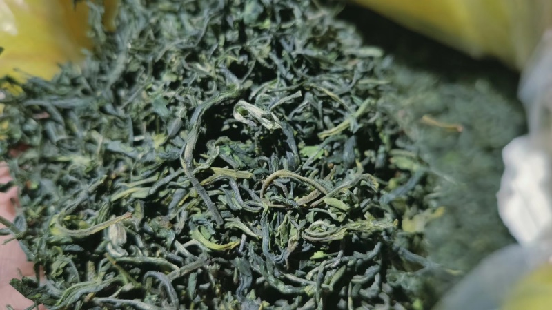 海拔800米以上的高山绿茶