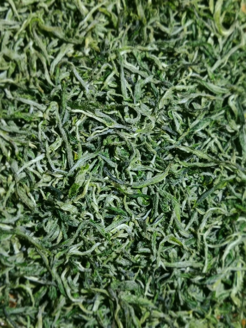 海拔800米以上的高山绿茶