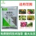 50%腐霉利葡萄灰霉病叶霉病农用喷雾杀菌剂