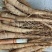 芍药苗，精品、现货、基地1年2年苗有货欢迎进店咨