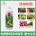 混合氨基酸铜水剂西瓜枯萎病根腐茎基腐病立枯病
