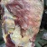 牛排满肉牛排国产鲜冻牛排瘦度高肉含量高工厂直供
