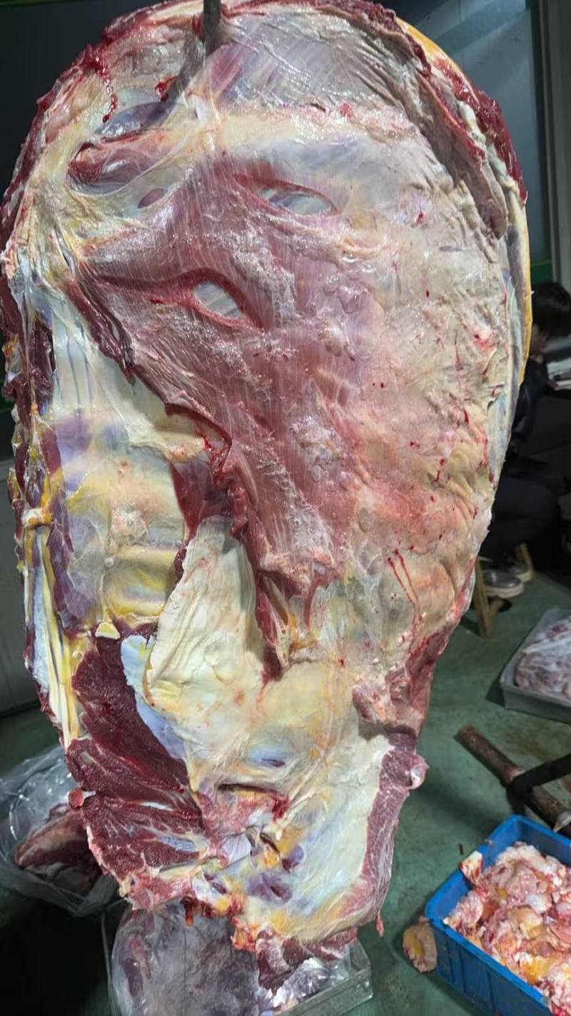牛排满肉牛排国产鲜冻牛排瘦度高肉含量高工厂直供