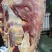 牛排满肉牛排国产鲜冻牛排瘦度高肉含量高工厂直供
