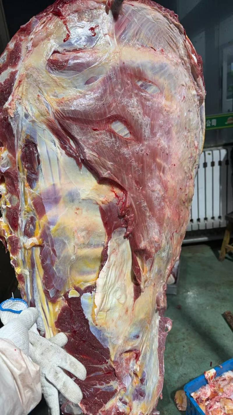 牛排满肉牛排国产鲜冻牛排瘦度高肉含量高工厂直供