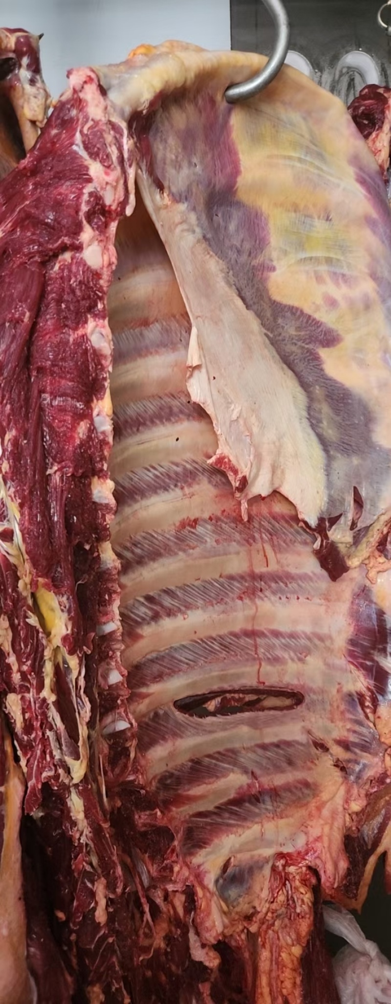 牛排满肉牛排国产鲜冻牛排瘦度高肉含量高工厂直供