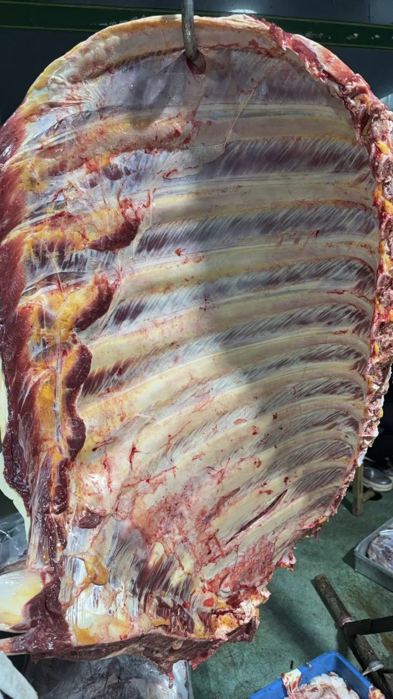 牛排满肉牛排国产鲜冻牛排瘦度高肉含量高工厂直供