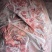 牛排满肉牛排国产鲜冻牛排瘦度高肉含量高工厂直供