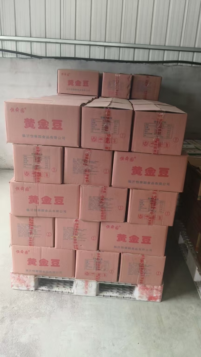 黄金豆质量保证量大从优诚信经营厂家批发欢迎咨询