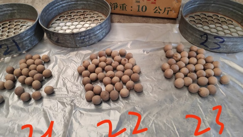 泰国桂圆干成都分公司负责销售分装，sc都齐