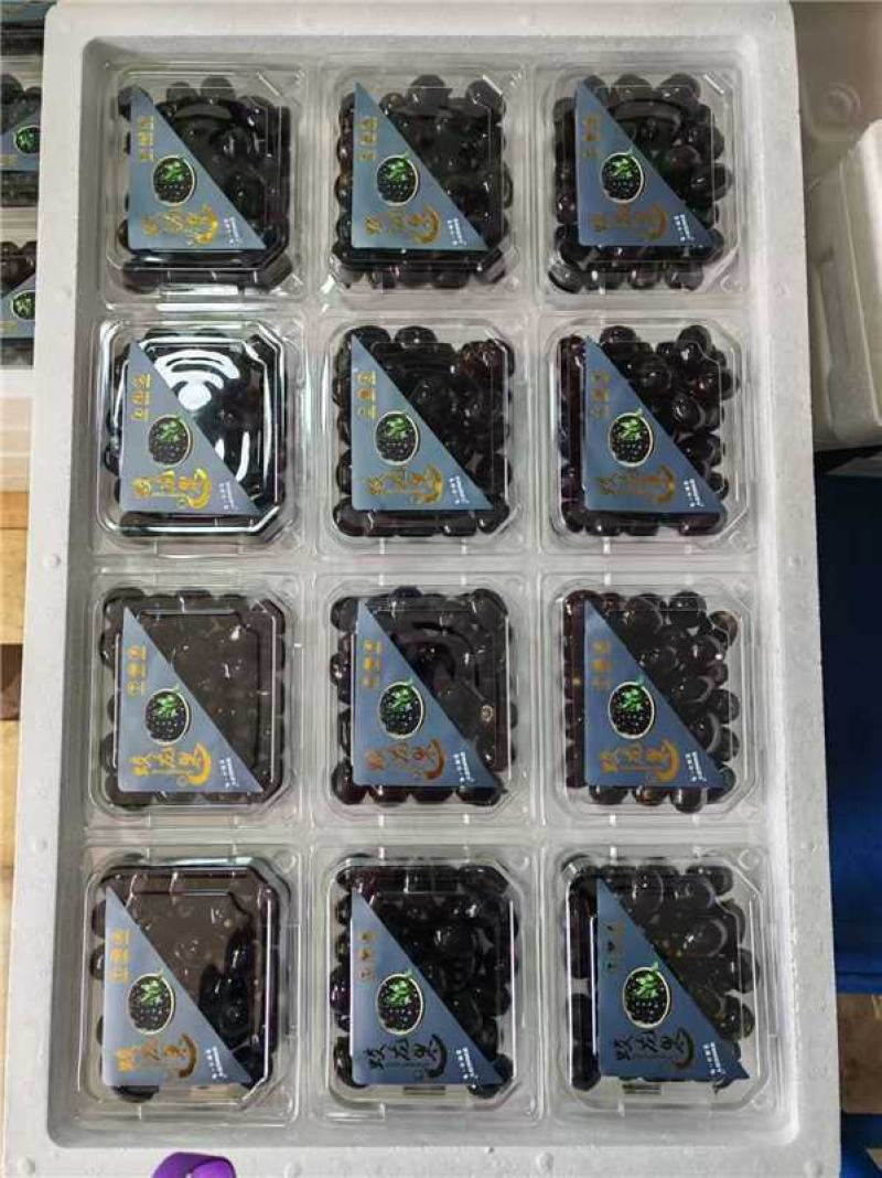 蛟龙果产地货源充足现采现摘精品包装欢迎电话联系