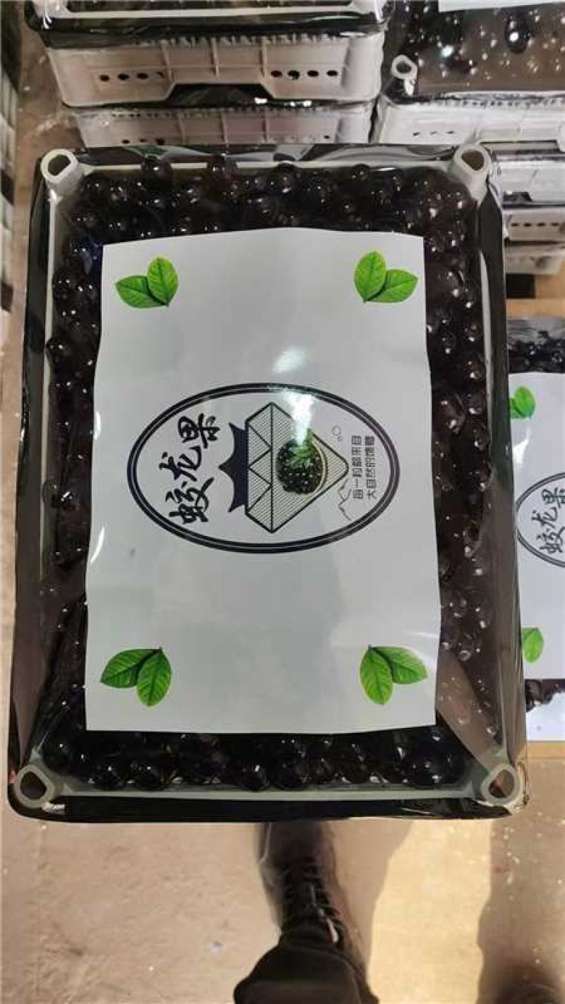 蛟龙果产地货源充足现采现摘精品包装欢迎电话联系