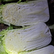北京三号白菜