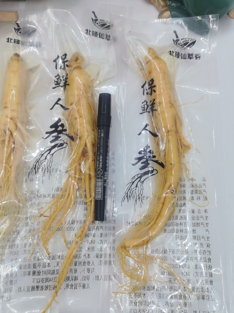 正规保鲜参东北特产泡酒鲜参鲜人参净重