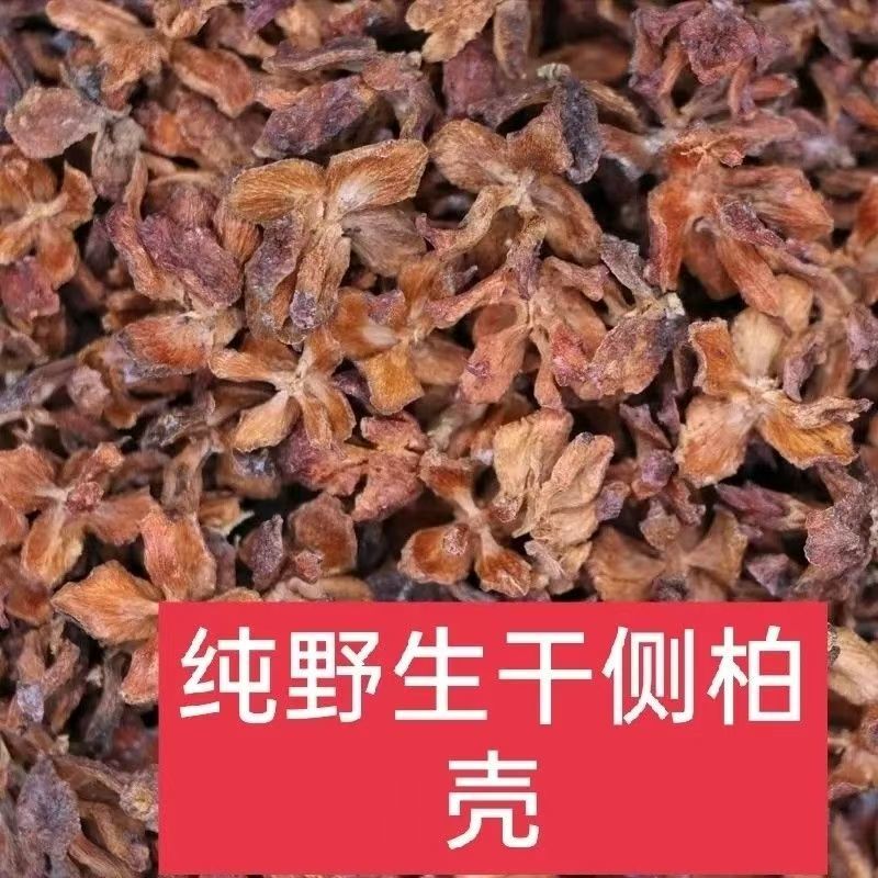 农家晒干侧柏壳野侧柏果壳精品直供货源充足欢迎各地老板选