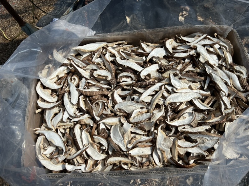 河北香菇切片干货香菇条香菇丝免切餐饮商用