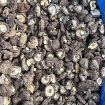 河北香菇干货肉厚无根新鲜香菇干货批发干香菇煲炒汤菜食材