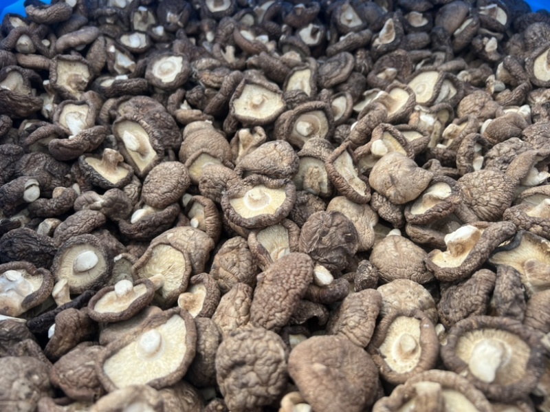 河北香菇干货肉厚无根新鲜香菇干货批发干香菇煲炒汤菜食材