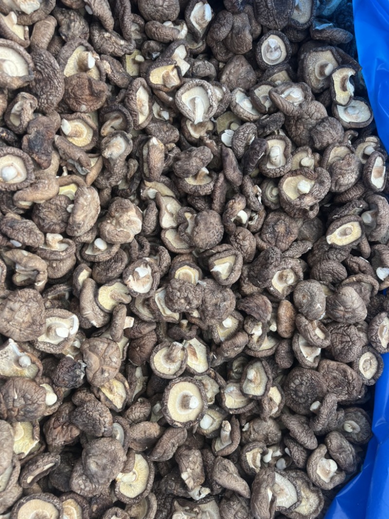 河北香菇干货肉厚无根新鲜香菇干货批发干香菇煲炒汤菜食材
