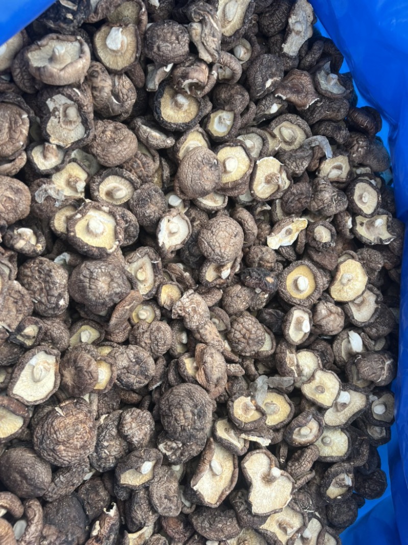 河北香菇干货肉厚无根新鲜香菇干货批发干香菇煲炒汤菜食材