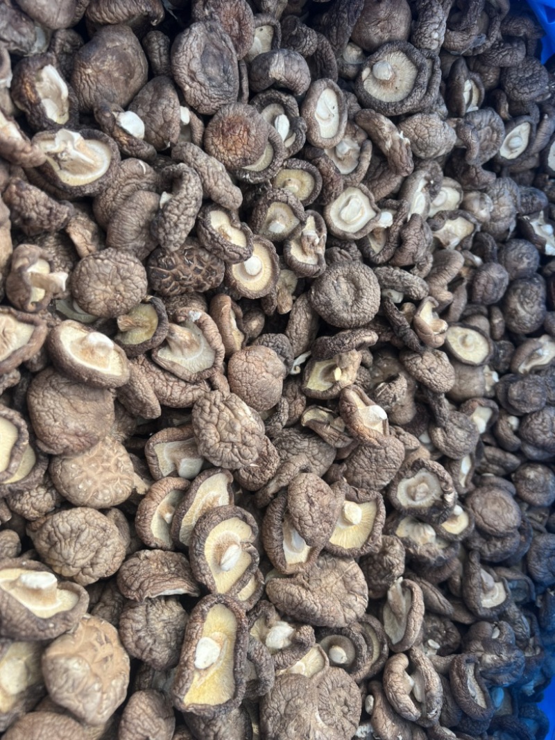 河北香菇干货肉厚无根新鲜香菇干货批发干香菇煲炒汤菜食材
